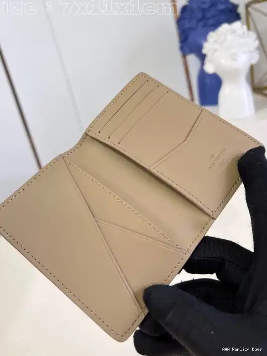 Aaa replica bags Organizer Louis Pocket Vuitton 0704